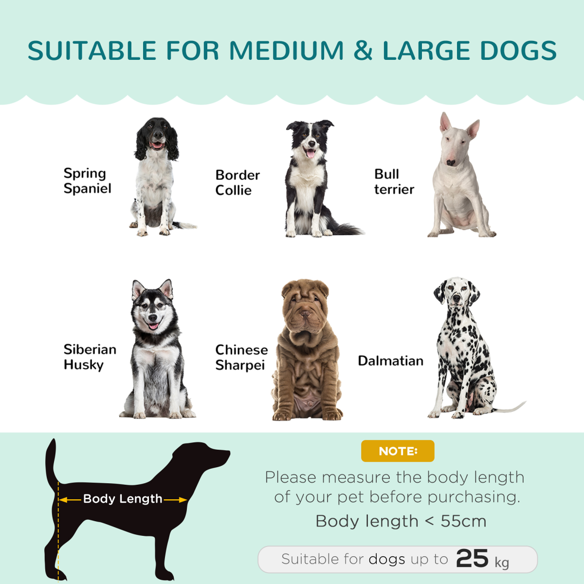 Premium Dog Sofa(Paw Series), Pet Couch Bed for Medium, Large Dogs w/ Legs, Cushion - Green