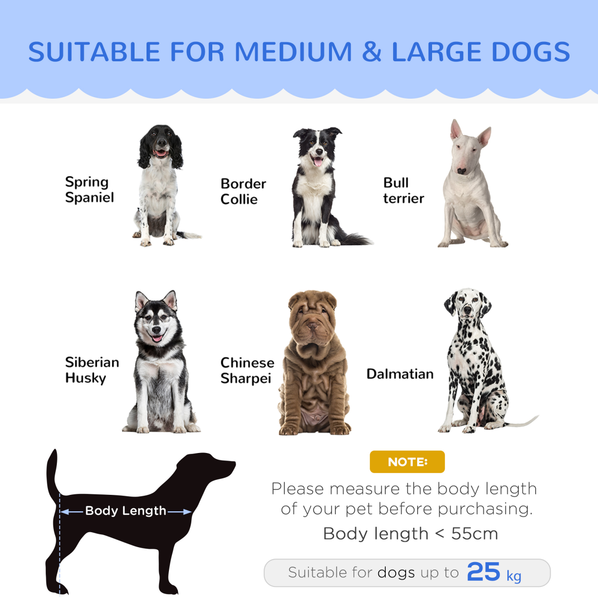 Premium Dog Sofa(Paw Series), Pet Couch Bed for Medium, Large Dogs w/ Legs, Cushion - Grey